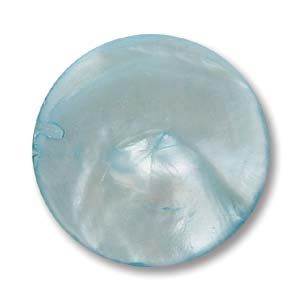 Mother of Pearl:20mm Coin Beads, Aqua [16"]