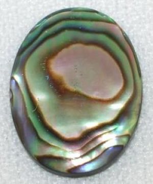 Cabochon, 18x13mm Oval:Natural Paua Shell