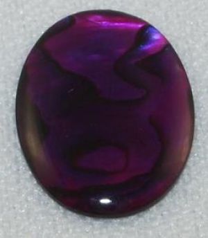 Cabochon, 18x13mm Oval:Purple Paua Shell