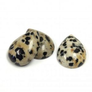 Cabochon, 18x13mm Pear:Dalmatian Jasper