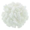 Bar Beads 6x2mm 2-Hole:White Opaque [10g]