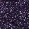 Miyuki 11/0 Delica Color #1756:Sparkling Purple Lined Amethyst AB [5g]