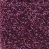 Miyuki 11/0 Delica Color #1757:Sparkling Orchid Lined Amethyst AB [5g]
