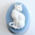 Felines