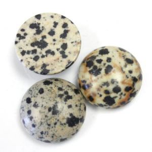 Cabochon, 18mm Round:Dalmatian Jasper [ea]