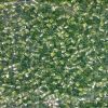 Miyuki 10/0 Twisted Hex Cut:Olive Green, Transparent [12g]
