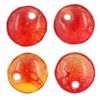 Czech Glass 6mm Lentil Beads:Dual Coat Fuchsia/Lemon [50]