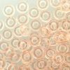 O Beads 3.8x1mm:Rosaline, Transparent [8g]