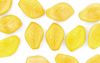 Czech Glass 14x9mm Wavy Leaf Beads:Opaque Yellow [25]