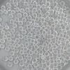 Swarovski 5305:5mm Crystal [12]
