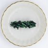 Barrettes:Twiggy Collection, Dark Green 2" [ea]