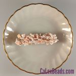 Barrettes:Limited Edition, Sea Shell 2" [ea]