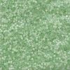 Miyuki 11/0 Delica Color #0828:Satin Silk Light Green [5g]