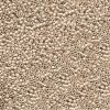 Miyuki 11/0 Delica Color #1162:GALV Matte Champagne [5g]