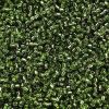 Delica 11/0:1207 Olive, Silver Lined [5g]