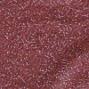 Miyuki 11/0 Delica Color #1341:Dyed Silver Lined Medium Rose [5g]