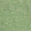 Miyuki 11/0 Delica Color #1404:Transparent Pale Green Mist [5g]