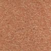 Miyuki 11/0 Delica Color #1410:Transparent Pale Peach [5g]