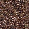 Miyuki 11/0 Delica Color #1732:Cocoa Lined Crystal AB [5g]