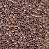 Miyuki 11/0 Delica Color #1749:Cocoa Lined Opal AB [5g]