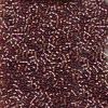 Miyuki 11/0 Delica Color #1759:Sparkling Beige Lined Amethyst AB [5g]