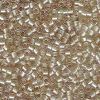 Miyuki 11/0 Delica Color #1766:Sparkling Celery Lined Tea Rose AB [5g]