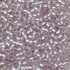 Miyuki 11/0 Delica Color #1771:Sparkling Pewter Lined Tea Rose AB [5g]